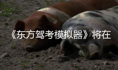 日登陆S东在1方驾拟器考模2月平台将