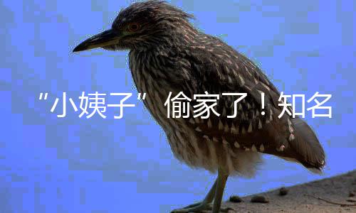 礼和偷田真知小宣布名声石川姨子优内家了界人结婚