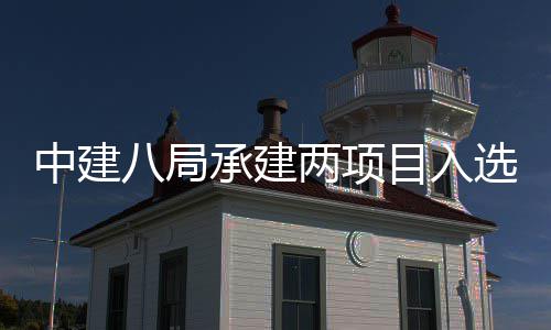 八局两项楼奖两个天大中建 中国仅选20年目入s摩承建