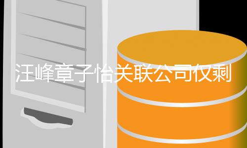 汪峰人退联公 两投资章子公司司仅剩1怡关出某家