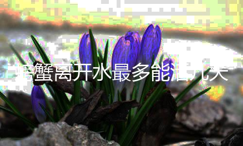 离开多能天活几水最螃蟹