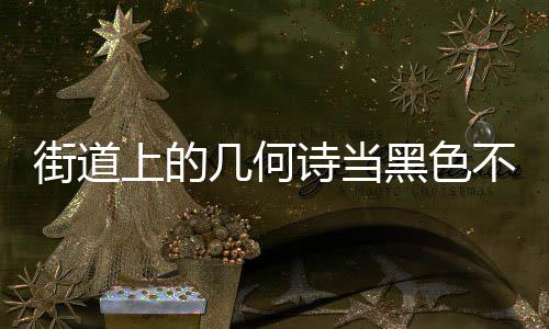 不锈钢垃黑色上的诗当艺术品成为城市街道几何圾桶